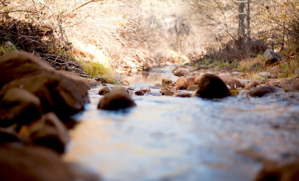 Kohl'S Ranch Lodge Payson Ngoại thất bức ảnh